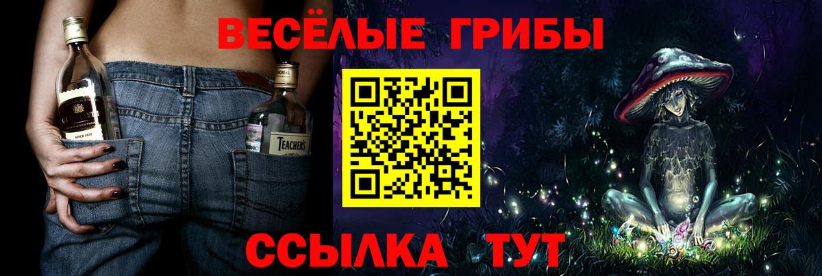 Златоуст  Псилоцибиновые грибы ЛСД  Вход с VPN  Галлюциногенные грибы Magic Shrooms 
